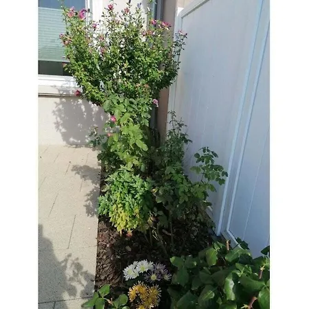 Ferienhaus Jancker Comfortable Ückeritz