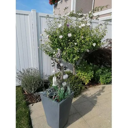 Jancker Comfortable Ferienhaus *