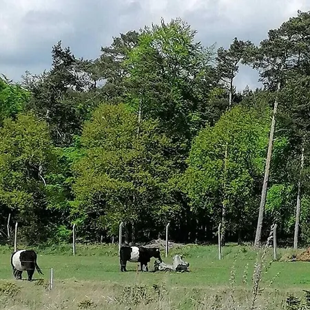 Jancker Comfortable Ferienhaus *